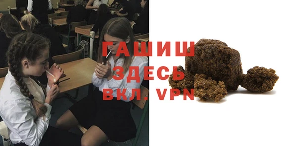 шишки Арсеньев