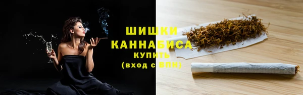 шишки Арсеньев