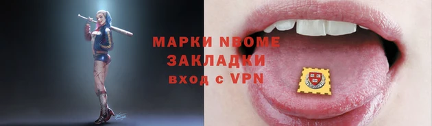 шишки Арсеньев