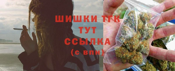 шишки Арсеньев